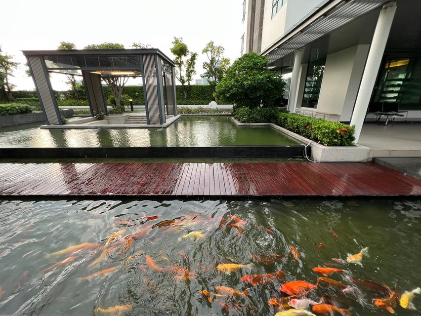 คอนโด The room  62 ติดรถไฟฟ้าปุณณวิถี 8