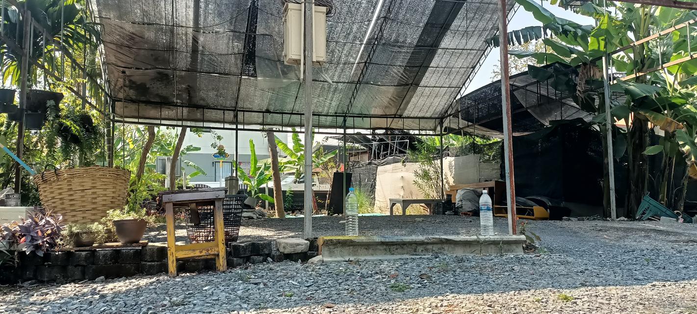 ให้เช่าที่ดินพร้อมโรงเรือน 202 ตรม. นนทบุรี 1