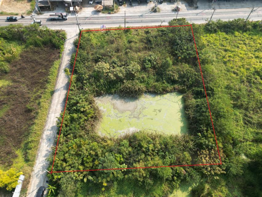 ที่ดินนนทบุรี ไทรน้อย 2 ไร่ ติดถนนใหญ่ สอบถามโทร 099-545-9556 4