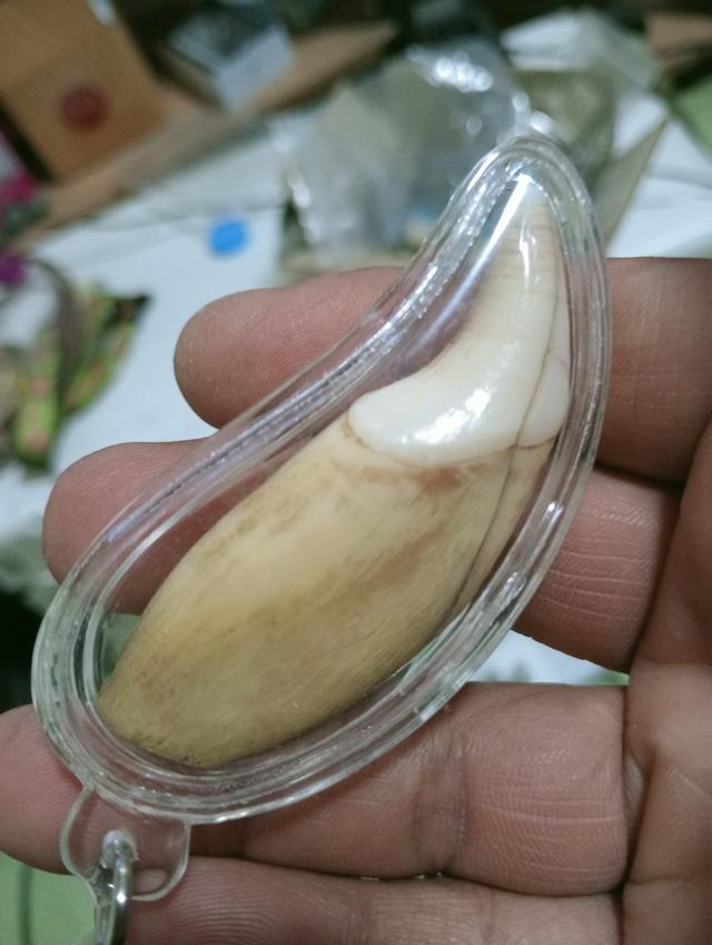 พระเครื่อง ไม่ทราบที่ รูปที่ 2