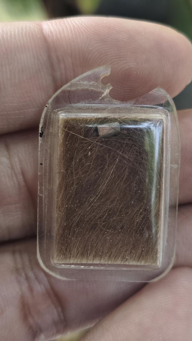 หนังเสือหลวงพ่อจงวัดหน้าต่างนอก