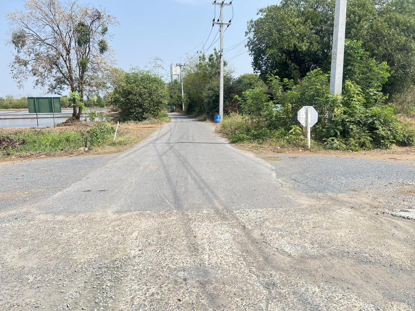 ขายด่วน! ที่ดินผืนใหญ่ 12 ไร่ พร้อมบ้าน 4 หลัง (ตกแต่งด้วยไม้สัก) – อ.สามชุก จ.สุพรรณบุรี 6