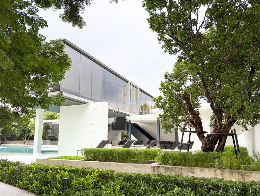 VIVE Bangna Super Luxury Modern Minimal residence 14