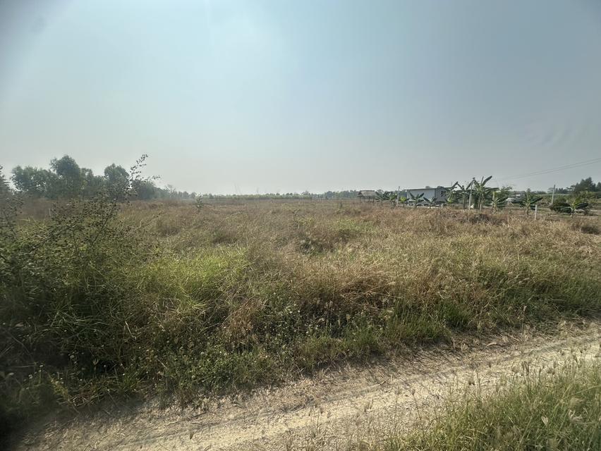 ที่ดิน 1ไร่ อำเภอหนองหญ้าไซ สุพรรณ 7