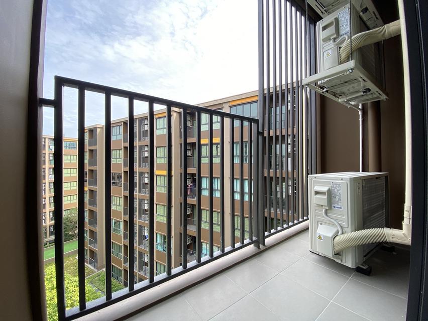 ปล่อยเช่า Dcondo Calm 15