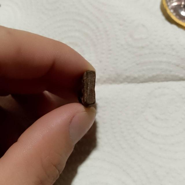 kkkkkkkkkkkkkkkkkkkk รูปที่ 5