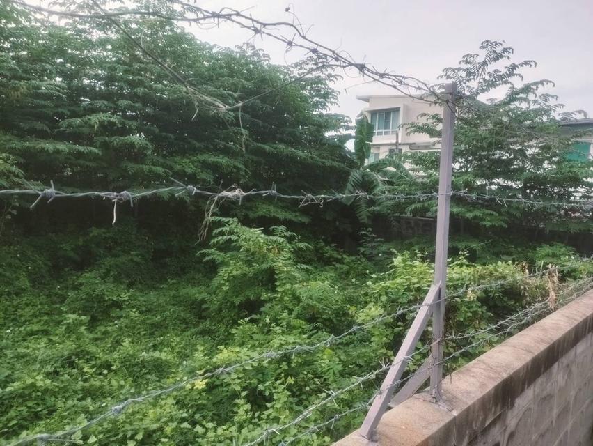 ที่ดินทำเลทอง ราคาดี ซอยอินทามระ 7 2