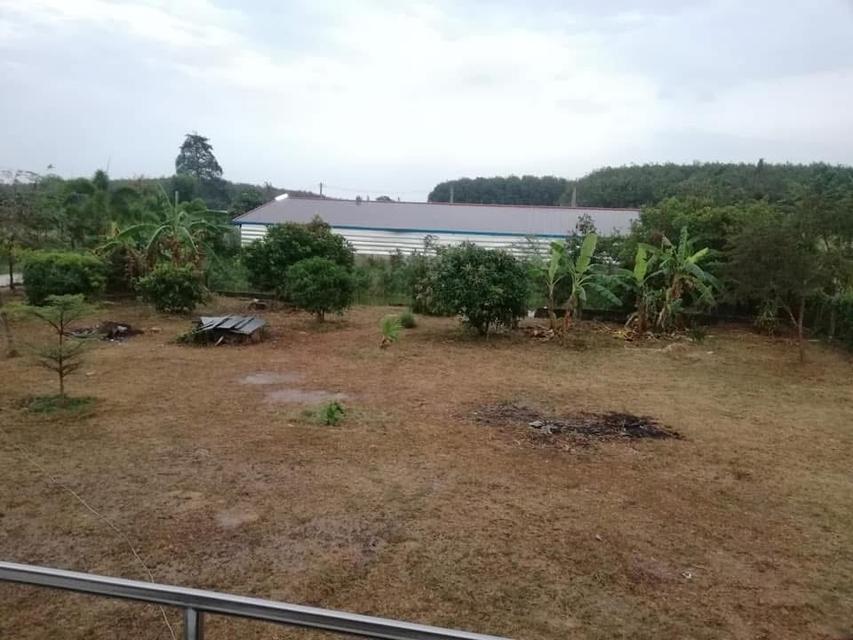 ขายที่ดินเปล่า ติดถนน ซ.9 1