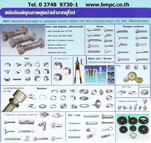 Hexagon head bolt, Bolt with flange, Shoulder screw, Set screw, screw plug, thin nut, lock nut, Castle nut, Locking disc spring, tab washer, e-ring, s