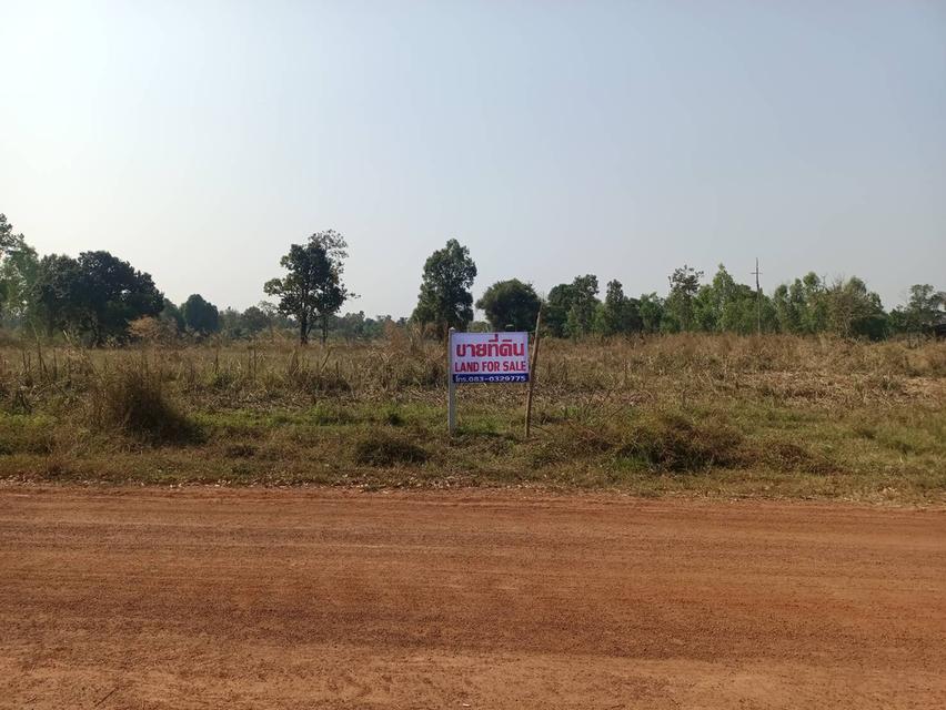 ขายที่ดินจังหวัดอุดรธานี หนองหาน บ้านดอนกลอย พิบูลย์รักษ์ 5