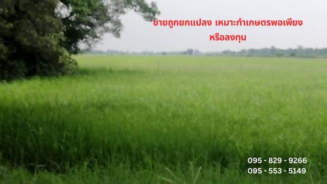 ขายที่ดิน 19-3-80 ไร่ หน้ากว้าง 1,284 เมตร ติดถนนเลียบคลองสี่ (ฝั่งตะวันออก)ใกล้วงแหวนกาญจนภิเษก คลองหลวง ปทุมธานี 6