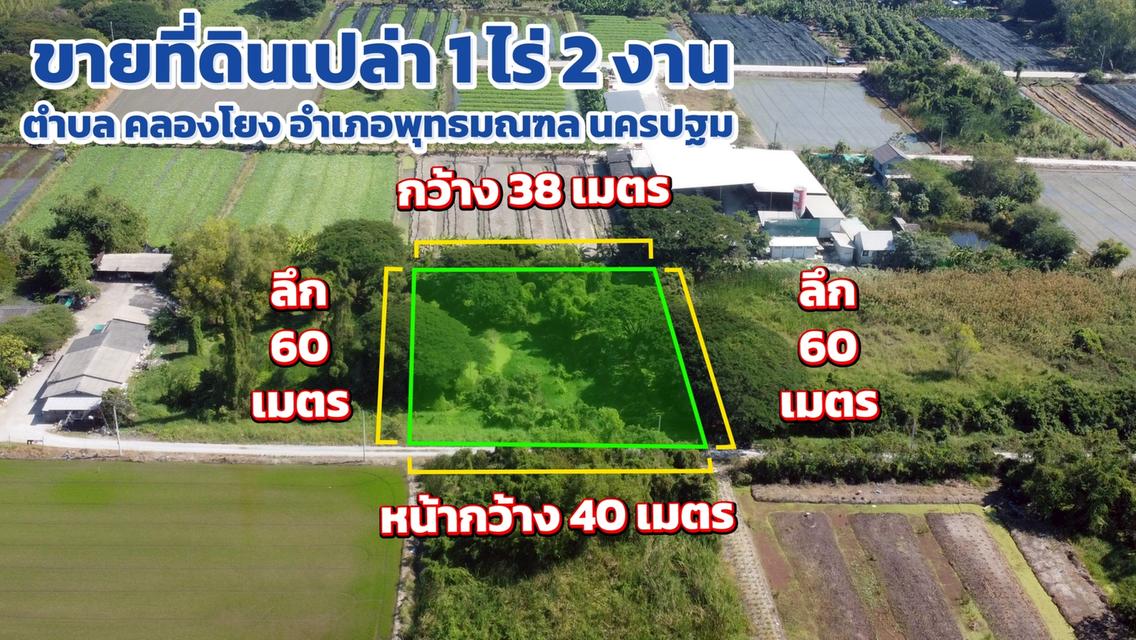 ✨ขายด่วน! ที่ดินคลองโยง ศาลายา ทำเลทองใกล้เมือง เดินทางทะลุเส้นถนนหลังได้หลายสาย🔥 2