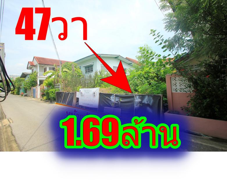 ที่ดินประชาอุทิศ69แยก16-6 สุขสวัสดิ์64 เทคโนบางมด 47ตารางวา ที่ถมแล้ว ที่ดินสร้างบ้าน ใกล้ทางด่วน เซ็นทรัลพระราม2  1
