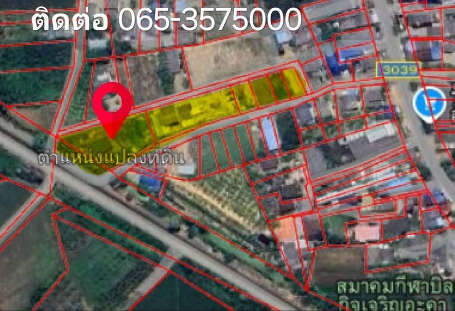 ขายที่ดินติถนน4ด้านไกล้มอเตอร์​เว​ m81​จังหวัดกาญจนบุรี​แถวท่ามะกา 1