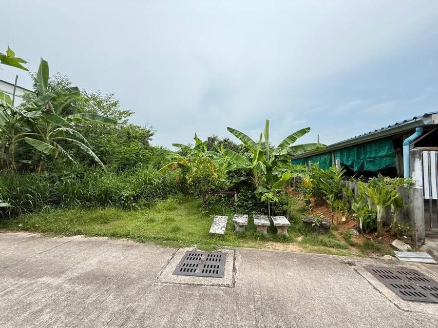 (เจ้าขอเป็นขายเอง) ขายที่ดินเปล่า บางละมุง – พัทยา 🏡 4