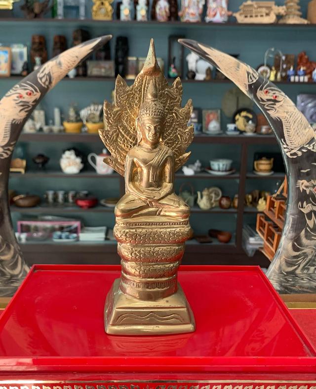 พระนาคปรก เนื้อทองเหลือง 2