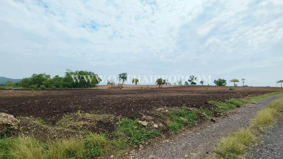 ที่ดินติดถนน ต.ดอนดึง อ.บ้านหมี่ จ.ลพบุรี 4