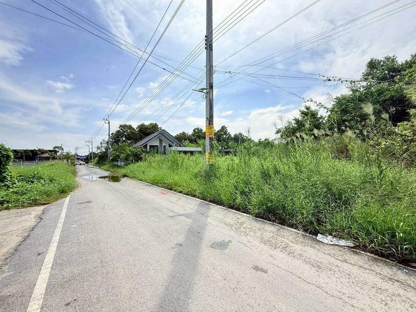 Vายด่วนที่ดินบ้านใหม่ 199 ตารางวาทติดถนนลาดยาง มีไฟฟ้า 3 เฟส ซอย เคหะ-บ้านใหม่ 21 อ.บางใหญ่ จ.นนทบุรี 5