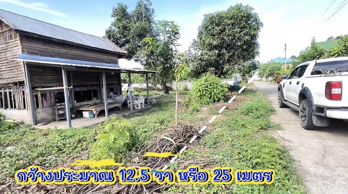 ขายที่ดินสวย ในชุมชน สะดวกน้ำไฟท่อระบายน้ำ พร้อม ต.ทองเอน อ.อินทร์บุรี จ.สิงห์บุรี 3