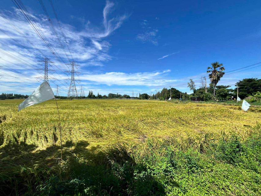 ขายที่ดิน 49 ไร่ หนองจอก กรุงเทพฯ ทำเลศักยภาพ เหมาะพัฒนาโครงการ / โกดัง / โลจิสติกส์ ราคา 165.13 ล้านบาท 8