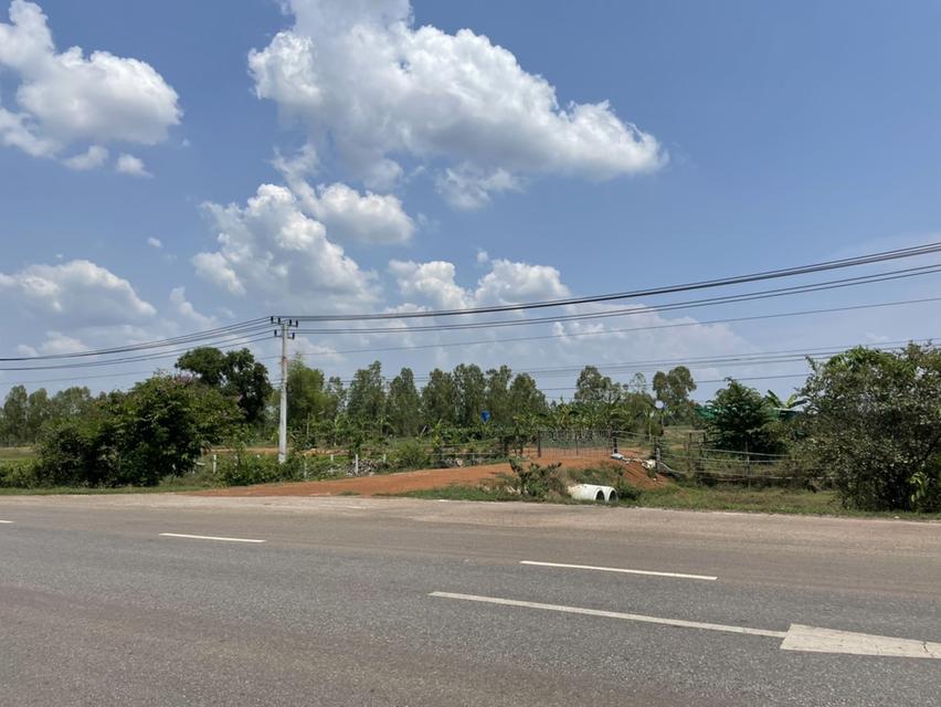 ขายที่ดินติดถนนใหญ่ ใกล้ ม.เกษตร สกลนคร 7