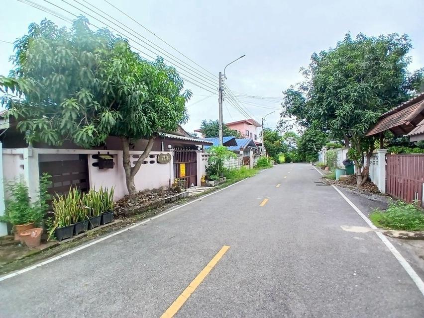 ขายบ้านเดี่ยวชั้นเดียว ถนนเลียบคลองนายหลีก บางบัวทอง นนทบุรี 2