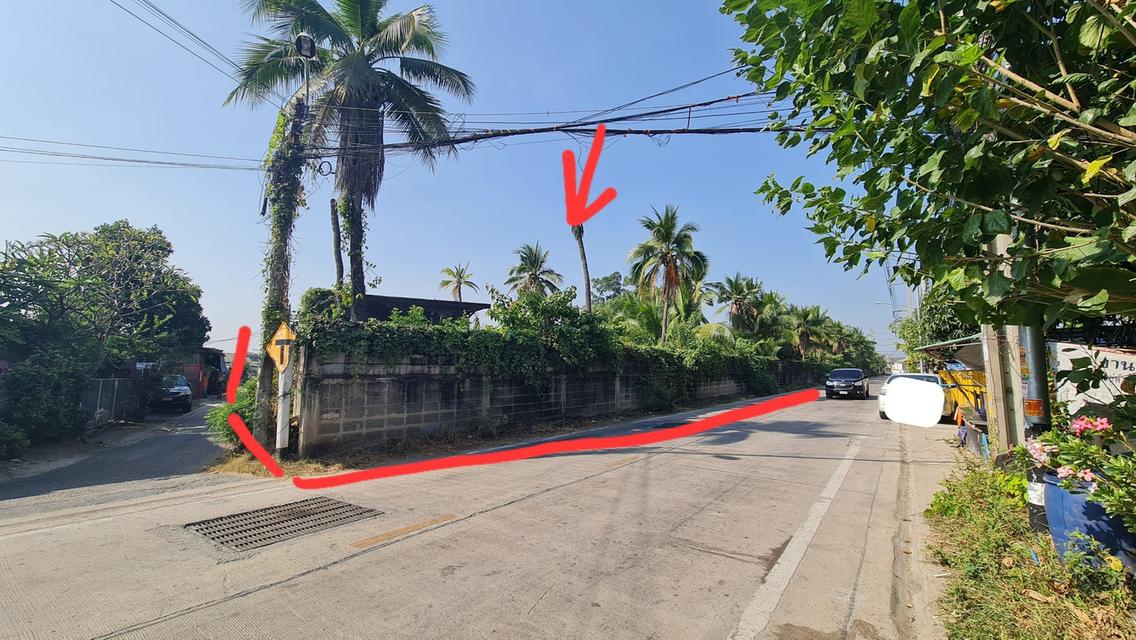 ขายที่ดินเปล่า ถมแล้ว อ.กระทุ่มแบน จ.สมุทรสาคร 5 ไร่ 3 งาน 27 ตร.วา 2