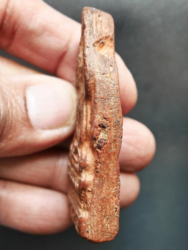 พระเชียงแสน ปรกโพธิ์ พิมพ์ใหญ่ เนื้อดิน ขนาด 3 x 6 ซม....เก่าๆ รูปที่ 8