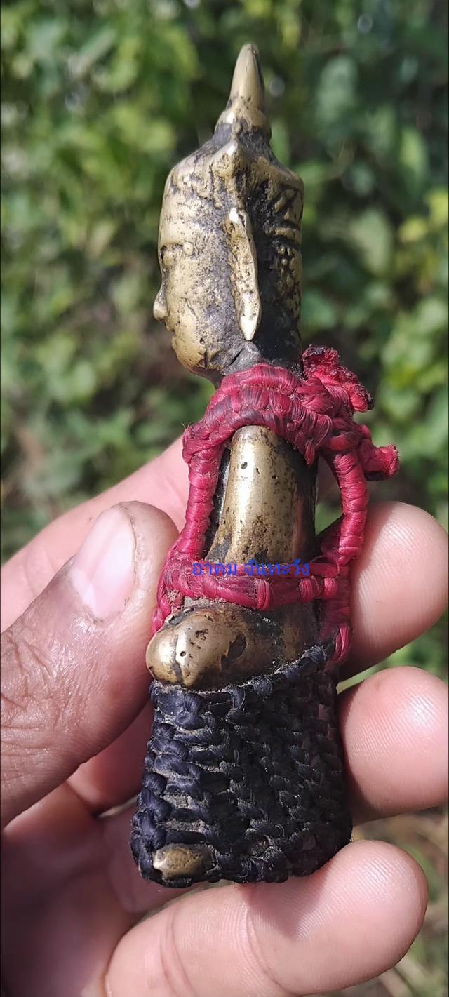 พญางั่งสุวรรณภูมินิ้วกระดก