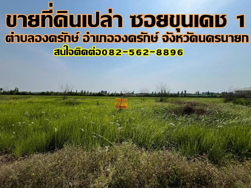 ขายที่ดินเปล่า ซอยขุนเดช 1 องครักษ์ นครนายก องครักษ์ นครนายก 1
