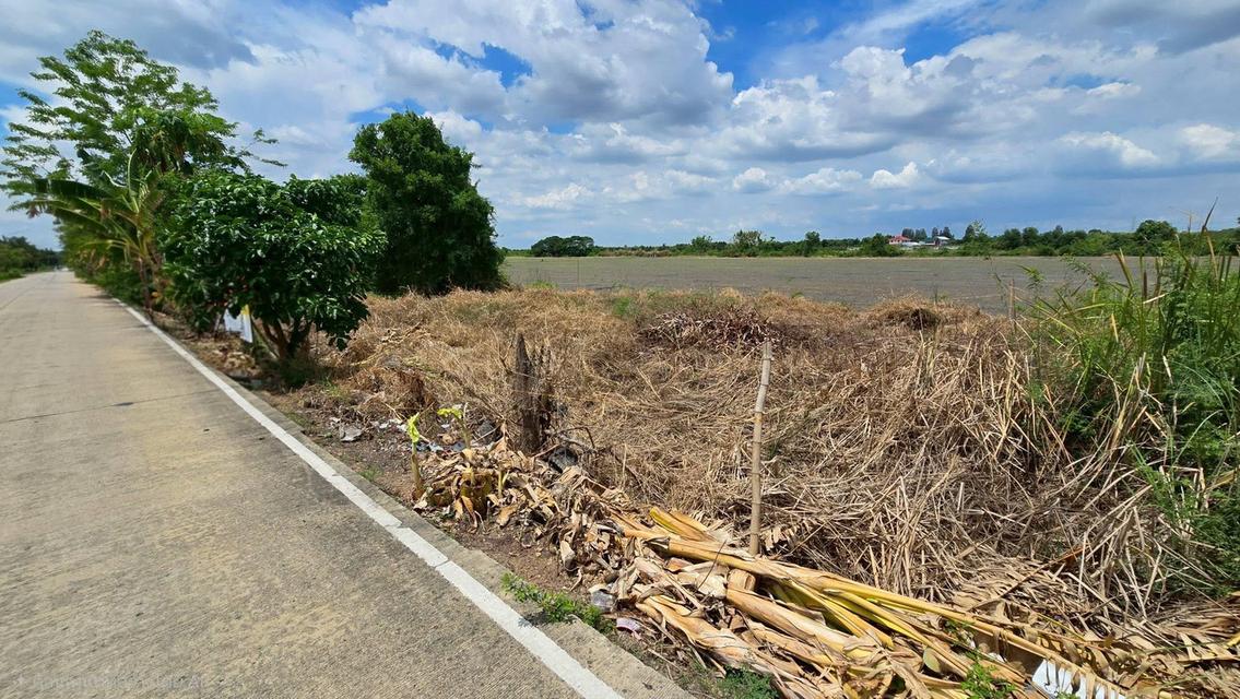 ขายด่วนที่ดิน 100 ตรว ติดถนนสาธารณะ ซ.วัดบัวสุวรรณประดิษฐ์ ลาดหลุมแก้ว ปทุมธานี 7