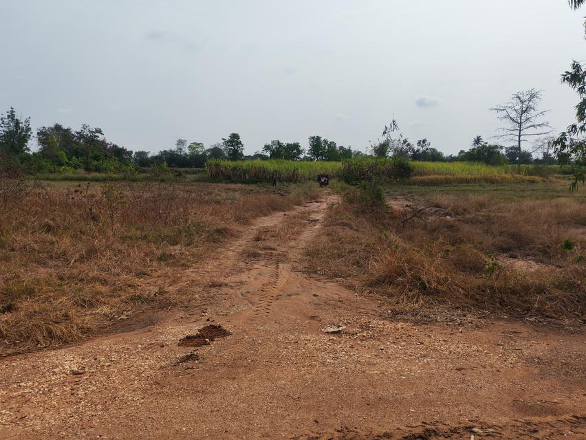 ขายด่วนที่ดิน ขายด่วน ที่ดินสวยแปลงใหญ่ 2แปลงติดกัน ไร่ละ 86,000 บาท จำนวน46-3-31 ไร่ และ 17-0-25 ไร่ เจ้าของคนเดียวกัน เป็นที่ไร่ผสมนา ติดทางสาธารณะท 15