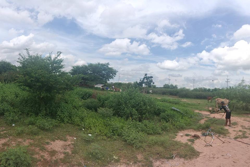 ที่ดินมหาสารคาม เนื้อที่ 6 ไร่ 2 งาน อำเภอบรบือ ราคาคุยกันก่อนได้ 3