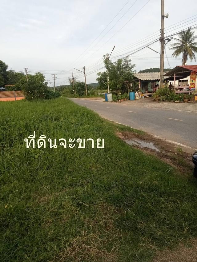 ขายที่ดิน 189 ตรว ต.ตาลเดี่ยว อ.แก่งคอย ห่างถนนแก่งคอยบ้านนา 1.3 กม ขาย7 แสนบาท 5