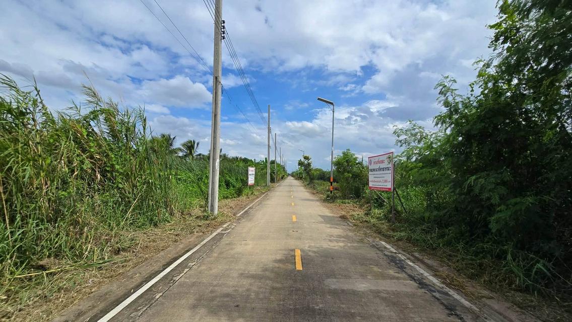 ขายด่วนที่ดิน 96 ตรว ติดถนนคอนกรีตสาธารณะ ซ.นายตึ๋ง บางกรวย นนทบุรี 6