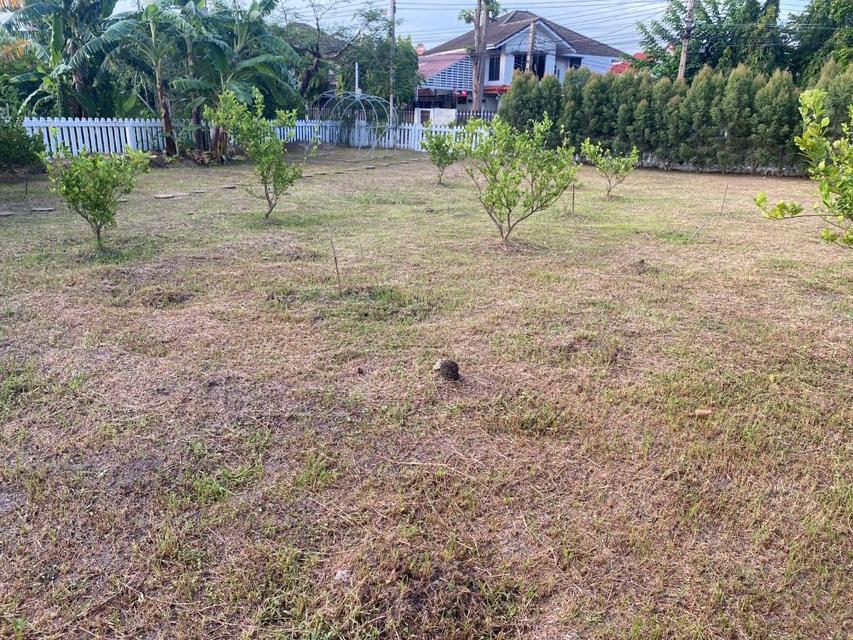 ขายที่ดินเปล่าถมแล้วขนาด 116 ตร.ว. ติดทะเลสาบ หมู่บ้านสัมมากร รามคำแหง 110 เขตสะพานสูง กรุงเทพฯ ทำเลทอง บรรยากาศร่มรื่น 3