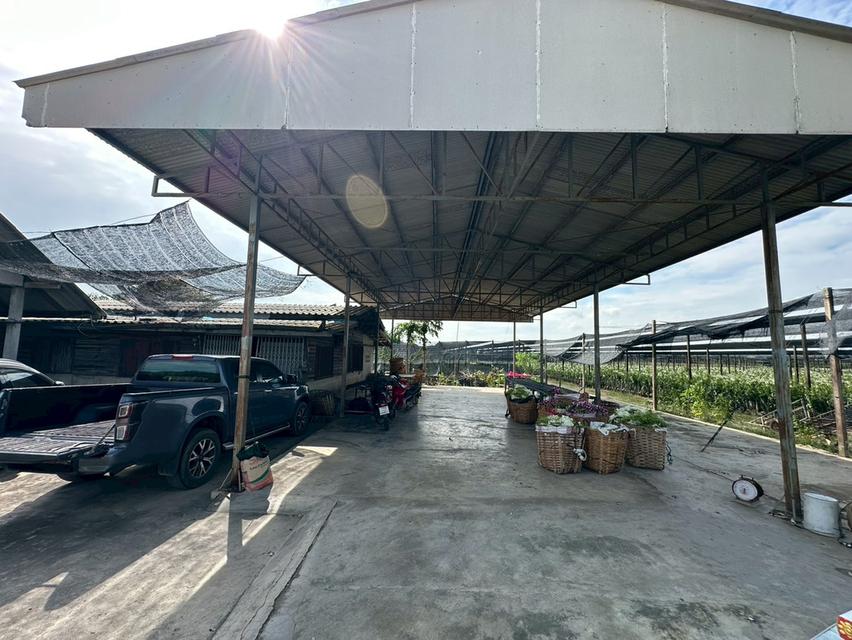 ขายที่ดิน อ.บางเลน เนื้อที่ 45ไร่ 1งาน 176ตร.ว พร้อมสวนกล้วยไม้ 8