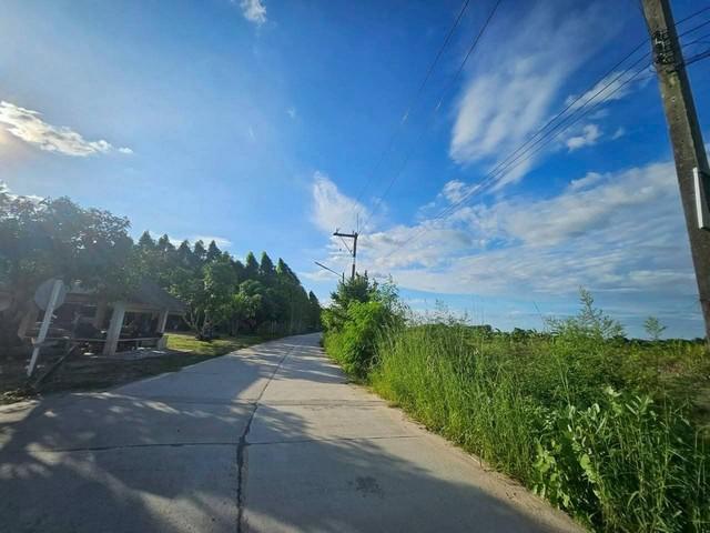 ขายที่ดินสวยพนัสชลบุรี ขายที่ดิน 47 ไร่ 40 ตารางวา ผังสีเหลือง เป็นถนนสี่เลนอยู่ในแหล่งความเจริญ ใกล้เขตอุตสาหกรรม 6