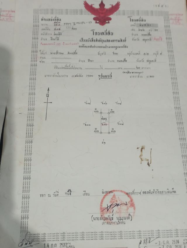 ที่ดินคลอง10 หนองเสือ  แปลงละ60 ตารางวา ราคา300000บาท 4