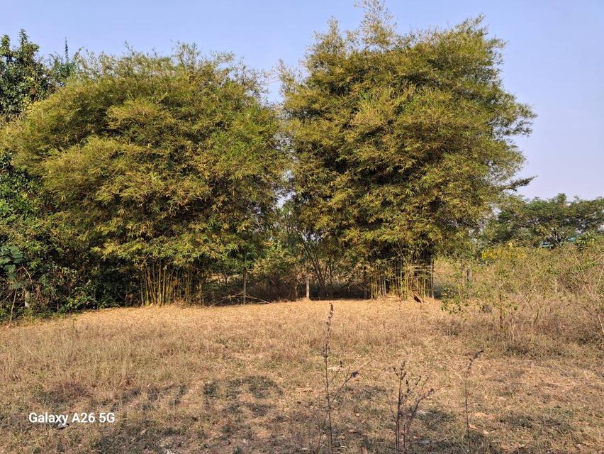 ที่ดิน อ.จอมบึง จ.ราชบุรี  พท  1.5 ไร่ ( 4 กม จากราชภัฏจอมบึง ) 1