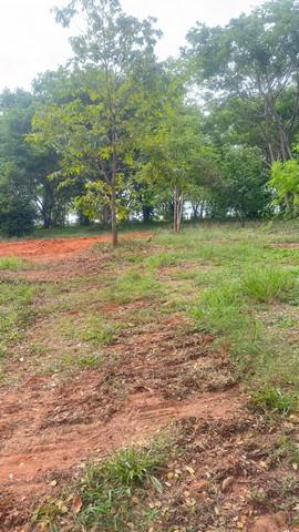 ที่ดินบ้านพร้อมโอนเจ้าของขายเอง ที่ติดทะเล ฝั่งแดง ขายราคาไร่ล่ะ 3.5 ล้านบาท โฉนดครุฑแดง พร้อมโอน 2