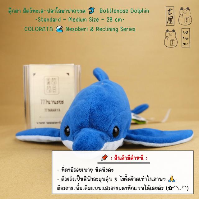 ตุ๊กตา สัตว์ทะเล・ปลาโลมาปากขวด 🐬 Bottlenose Dolphin Sea Animal Plush・Standard ~ Medium Size ~ 28 cm・Colorata・Earth Family・Nesoberi & Reclining Series