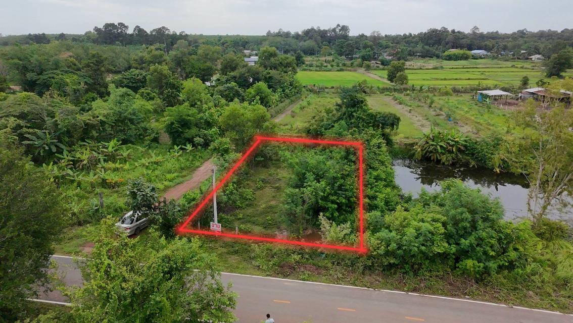 ขายที่ดินโฉนด อ.ทุ่งฝน เนื้อที่ 105 ตรว. 15