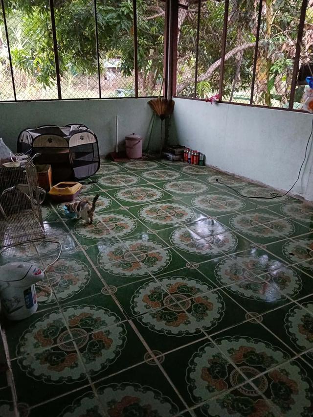 ที่ดินพร้อมบ้าน 300 ตารางวา 12