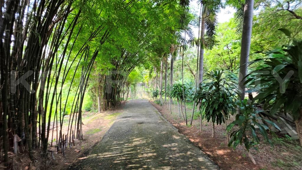 ขายที่ดินวิวหลักล้านบ่อวิน 25ไร่ใกล้สนามกอล์ฟใกล้ถนน331-3009สำหรับโรงแรม รีสอร์ท 7