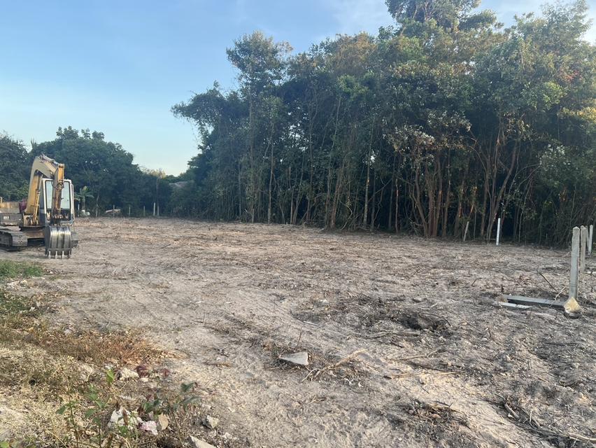 ขายที่ดินทำเลดี มีโฉนด เหมาะสร้างบ้าน 5