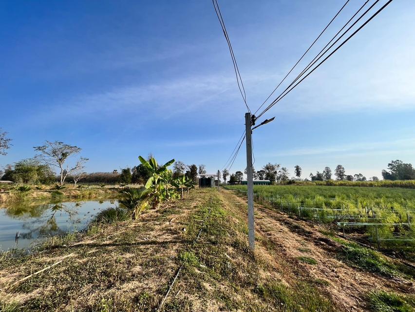 ขายที่ดินพร้อมสิ่งปลูกสร้าง 🏡ขนาด : 12 ไร่ 2 งาน (หน้ากว้าง 132 เมตร) 💰ราคา : 15 ล้าน 11