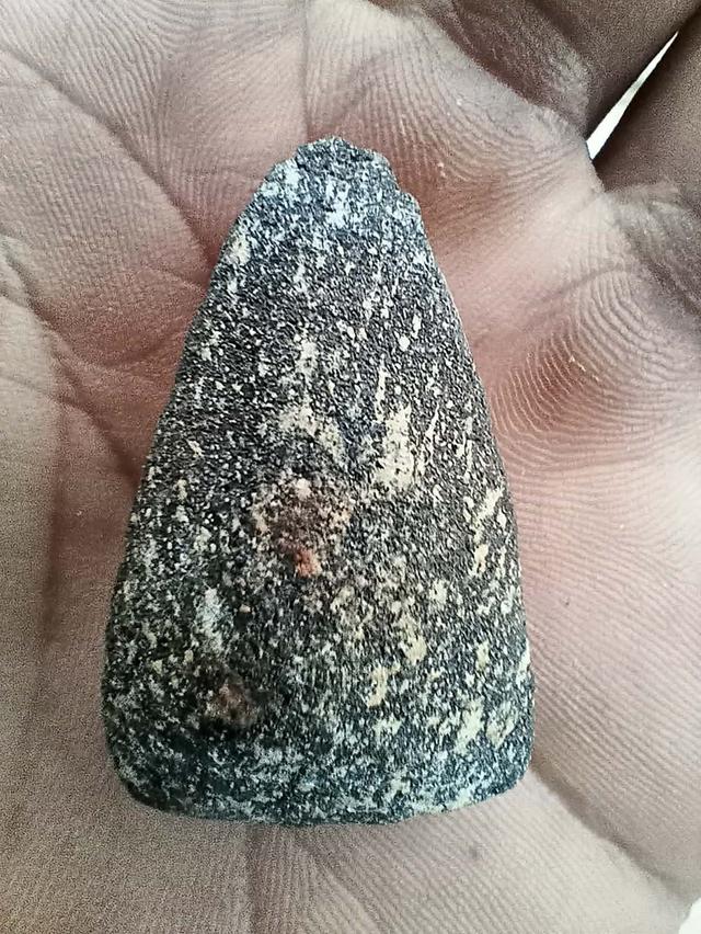 พระหลวงปู่ทวด ว่าน๙๗ รูปที่ 5