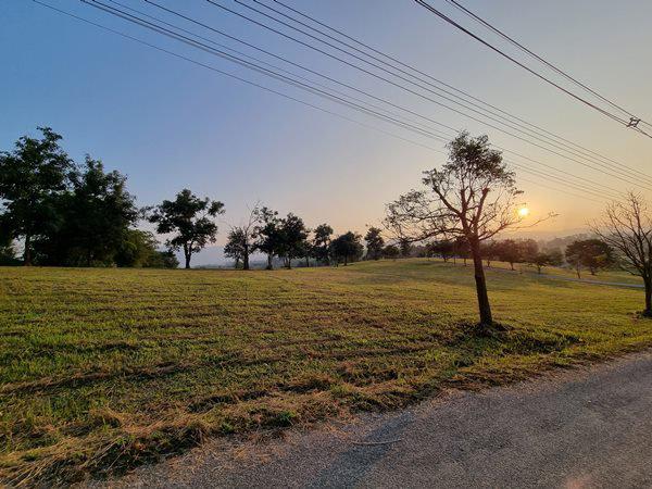 ขายที่ดิน จัดสรร อำเภอแม่จัน จังหวัดเชียงราย ราคาถูก 7 แปลง วิวภูเขา ใกล้สถานที่ท่องเที่ยว โทร 095-896-5659 4