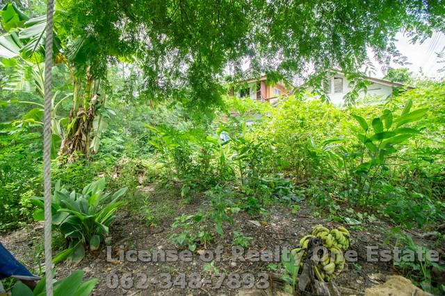 ขายที่ดินถมแล้ว ซอยเวิร์คพอยท์ บางพูด เมืองปทุมธานี 4